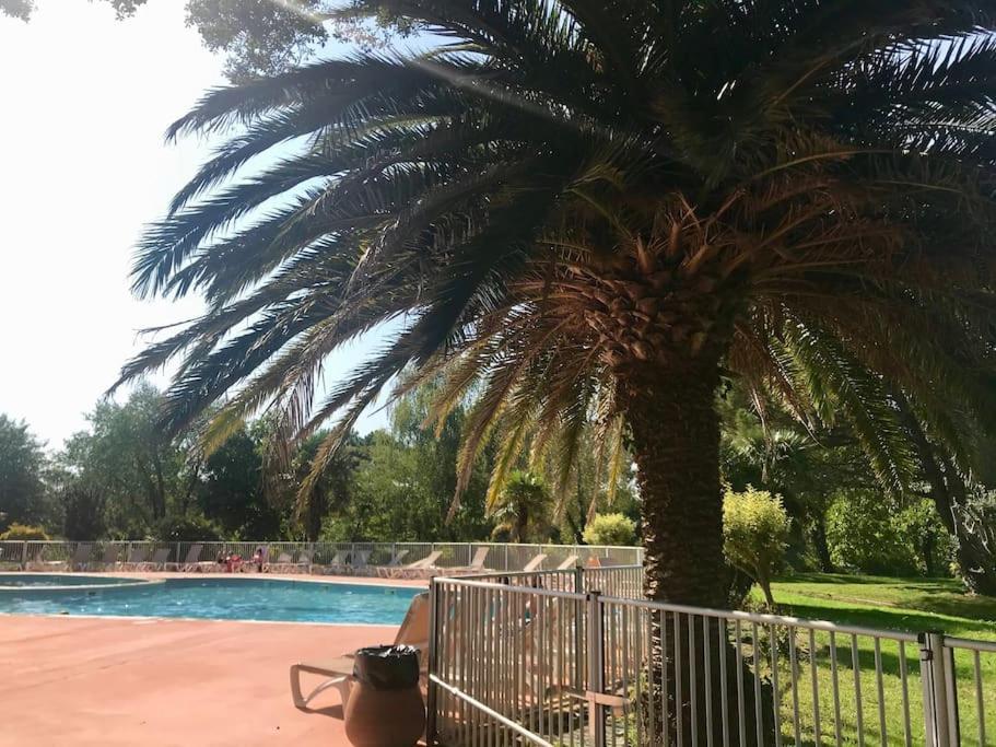 Appart Cosy Green, Ocean, Golf, Piscine, Wifi Moliets-et-Maa Dış mekan fotoğraf